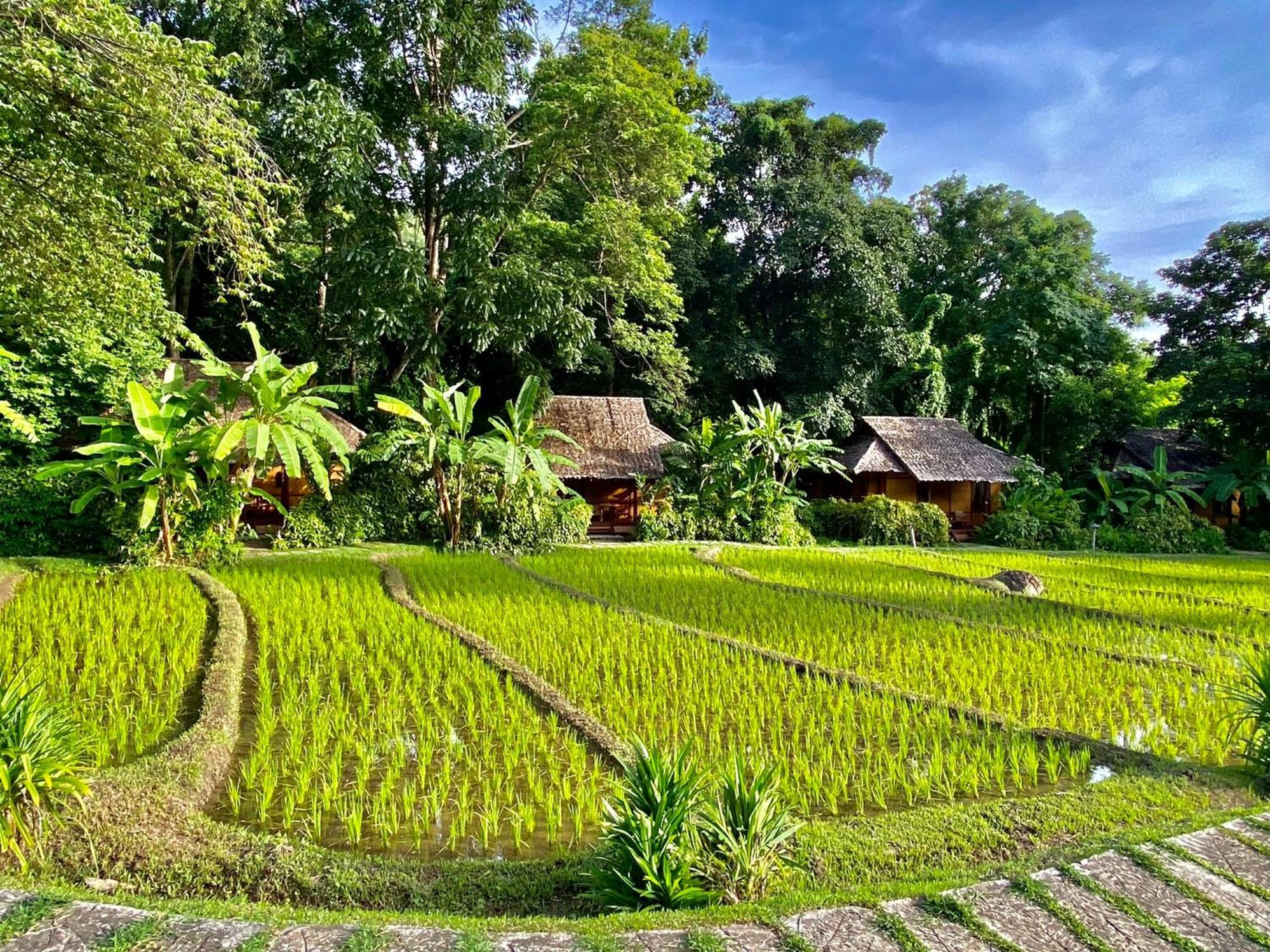 Fern Resort Mae Hong Son Extérieur photo
