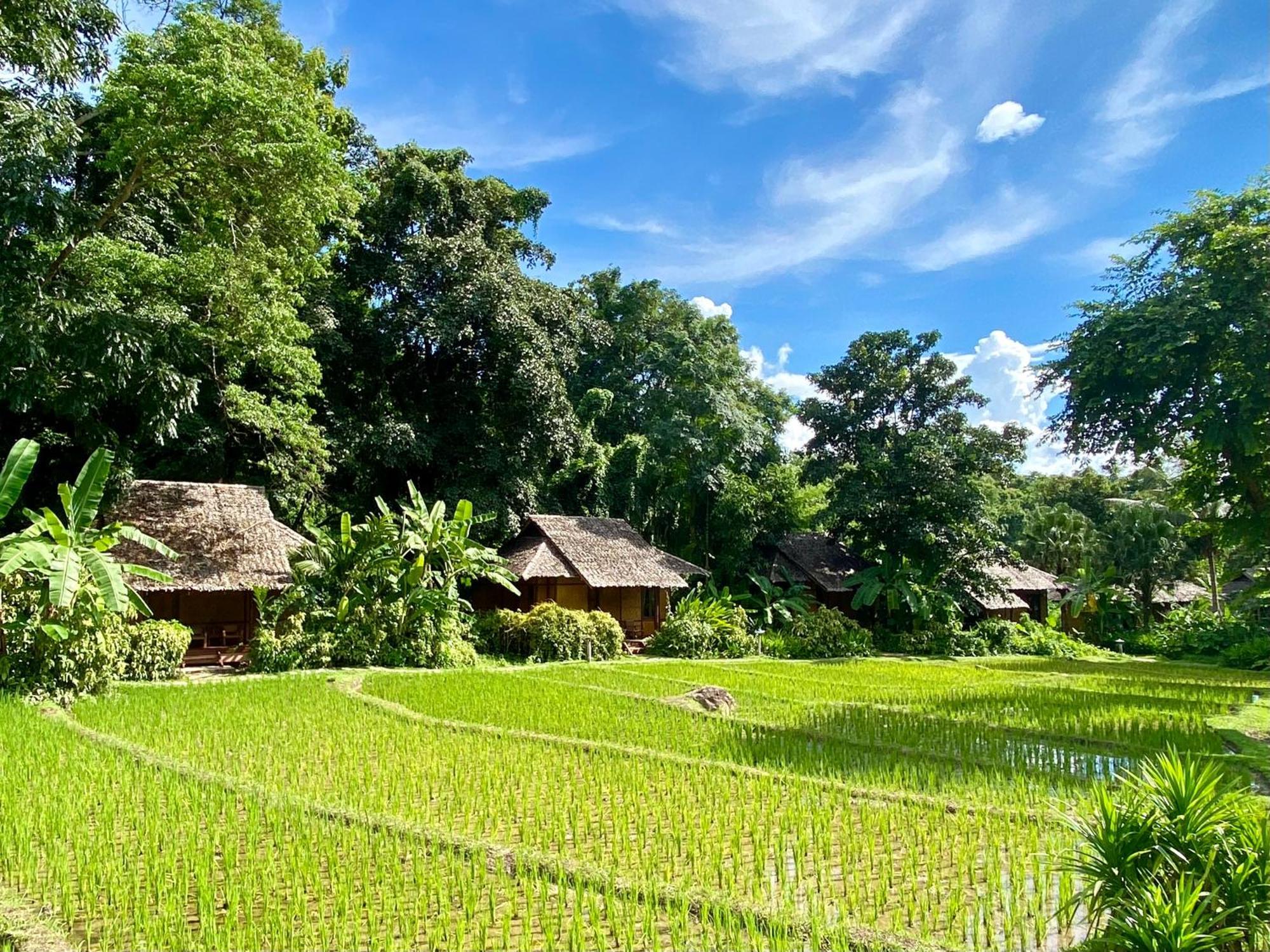 Fern Resort Mae Hong Son Extérieur photo