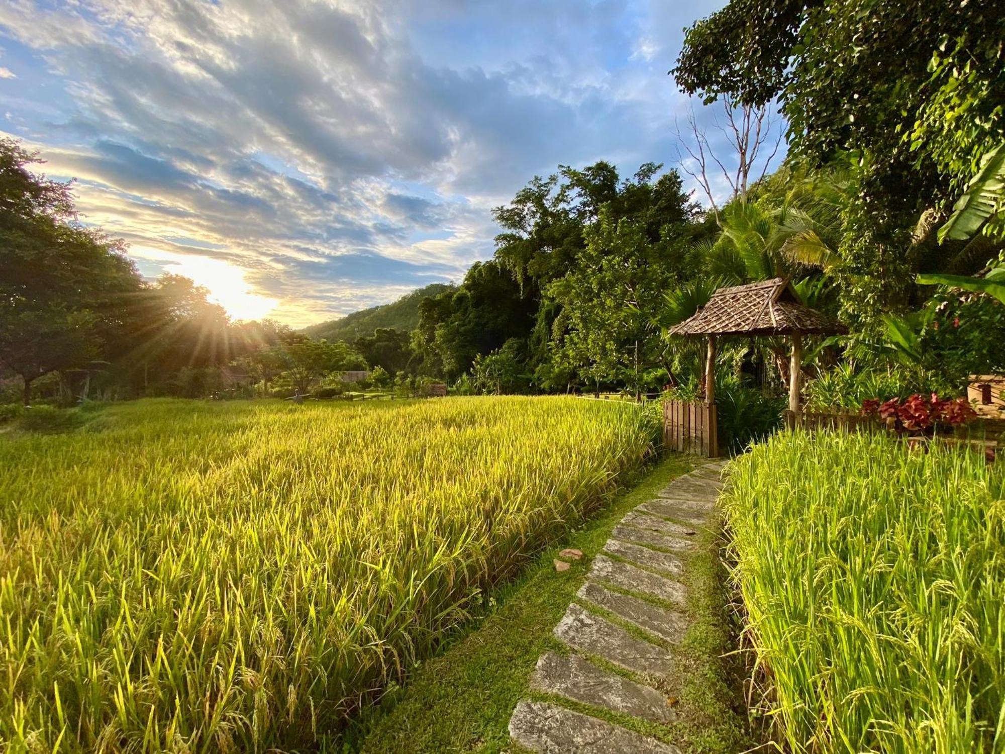 Fern Resort Mae Hong Son Extérieur photo