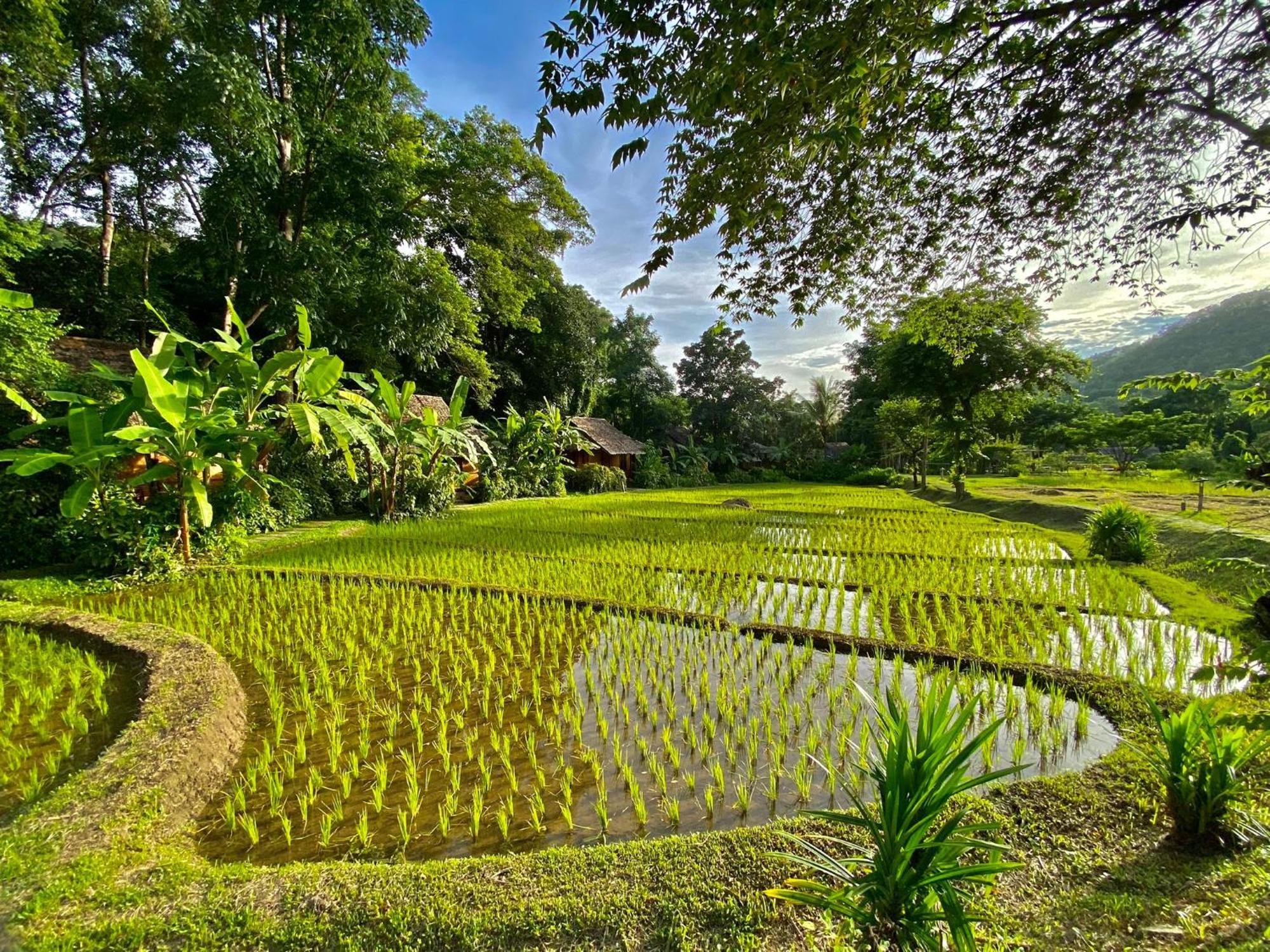 Fern Resort Mae Hong Son Extérieur photo