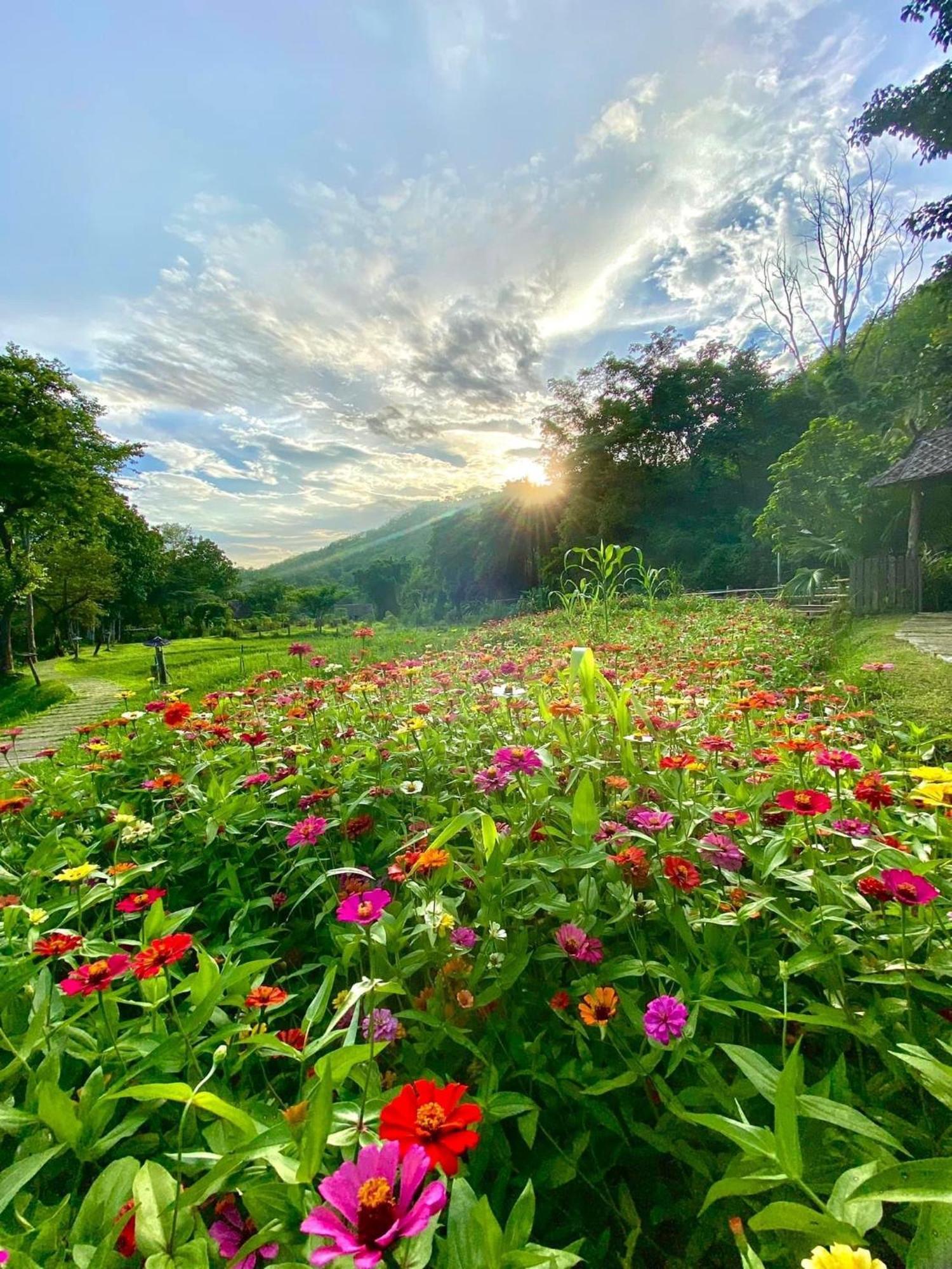 Fern Resort Mae Hong Son Extérieur photo