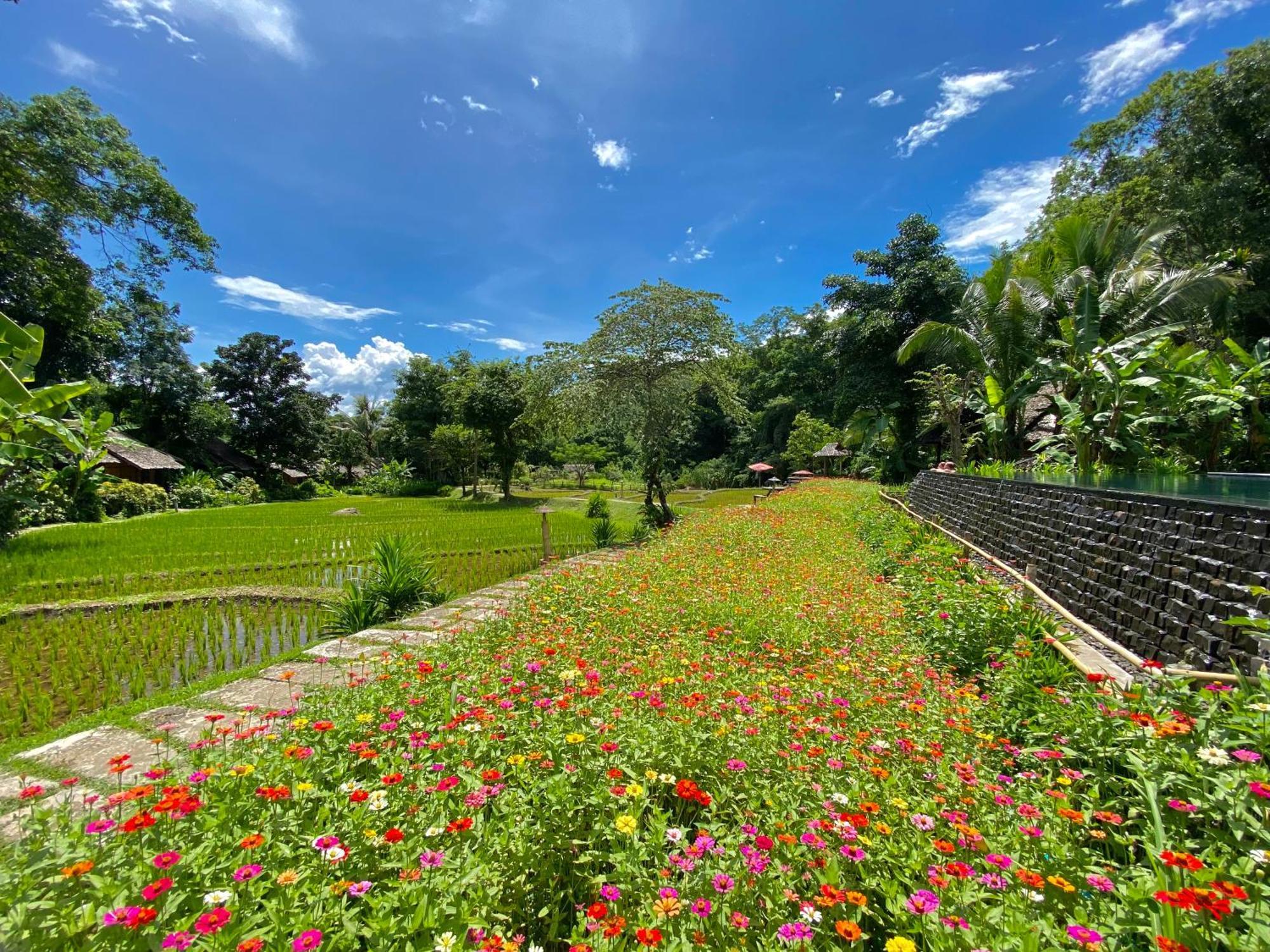 Fern Resort Mae Hong Son Extérieur photo