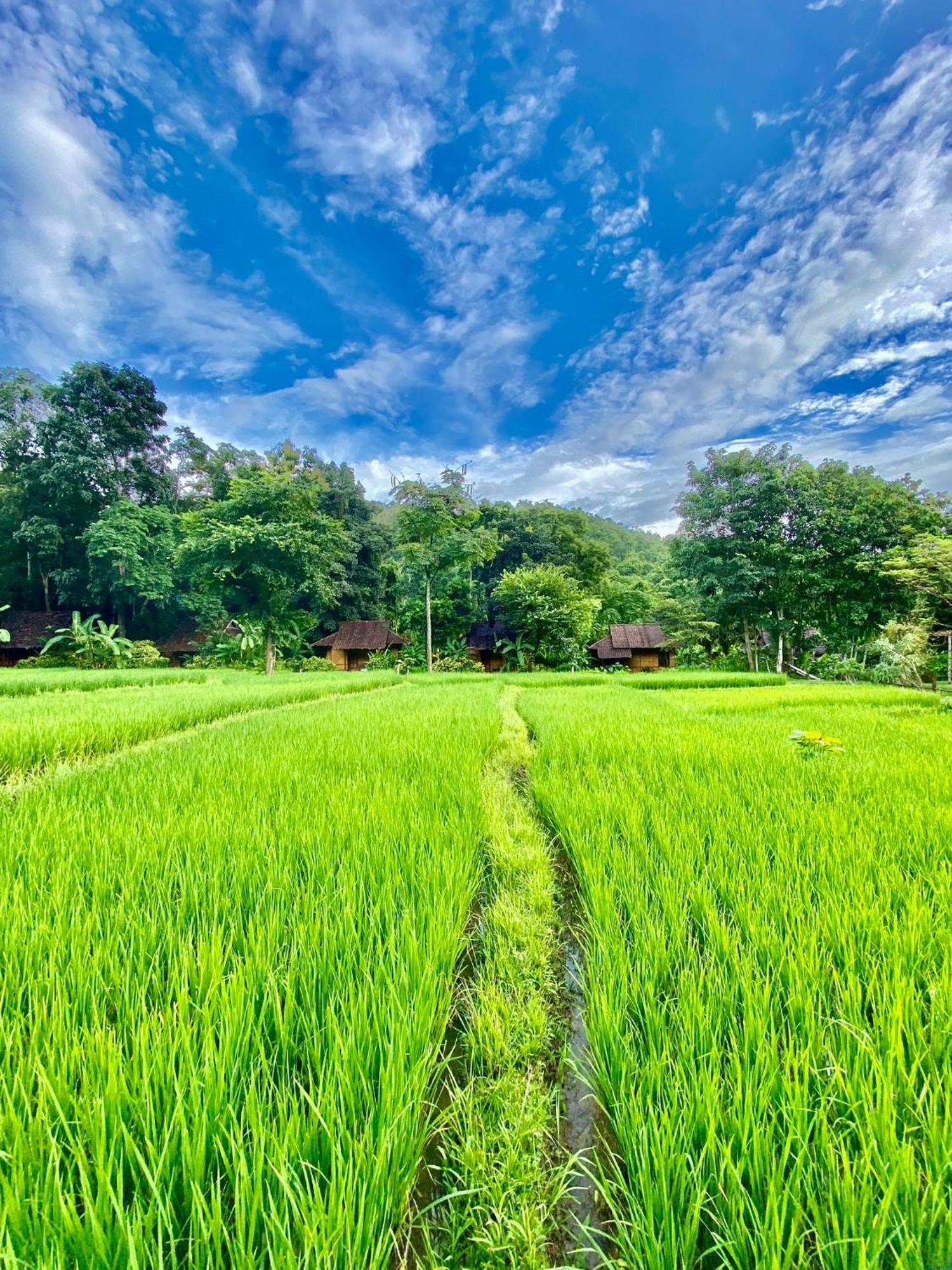 Fern Resort Mae Hong Son Extérieur photo
