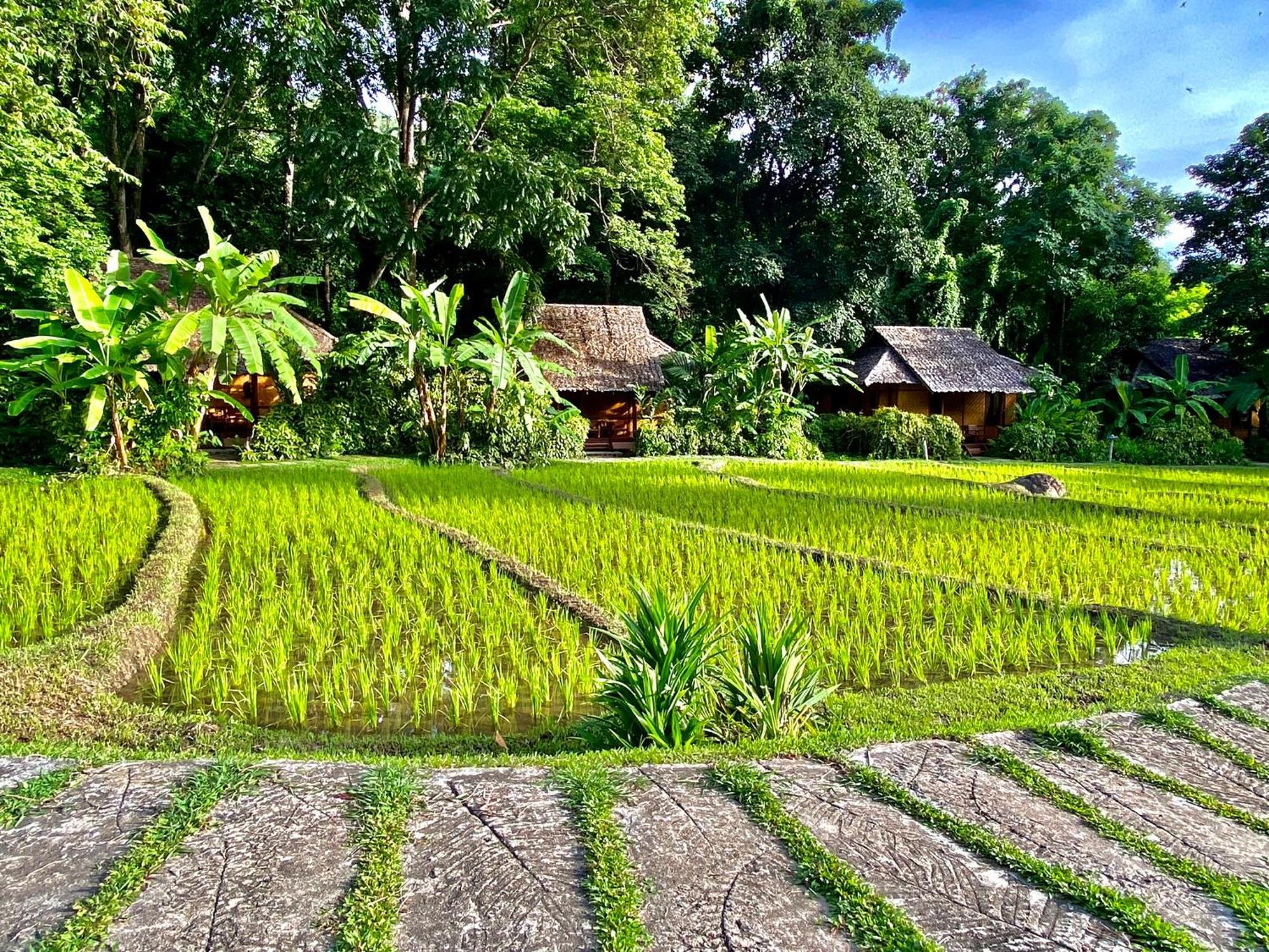 Fern Resort Mae Hong Son Extérieur photo