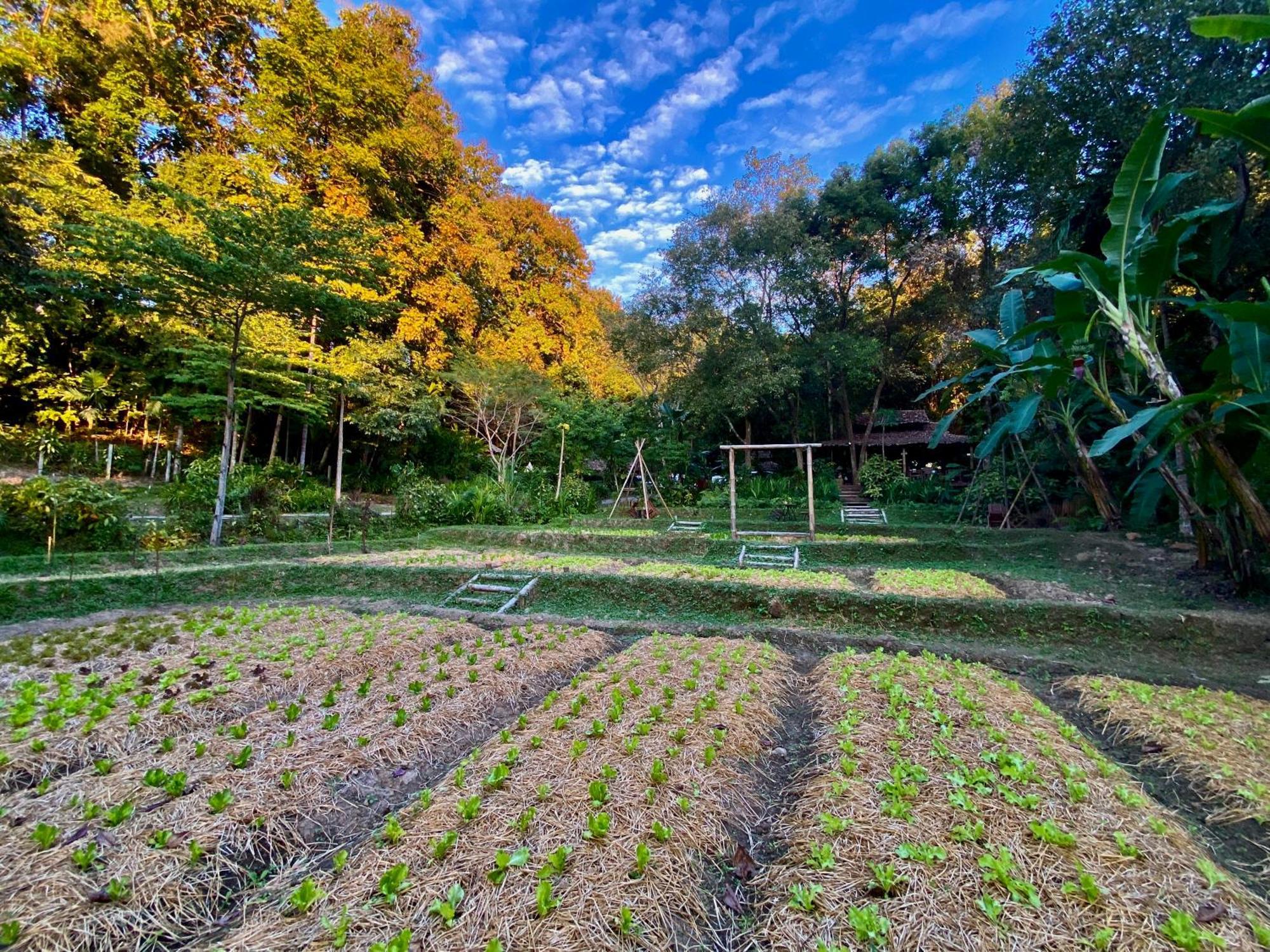 Fern Resort Mae Hong Son Extérieur photo
