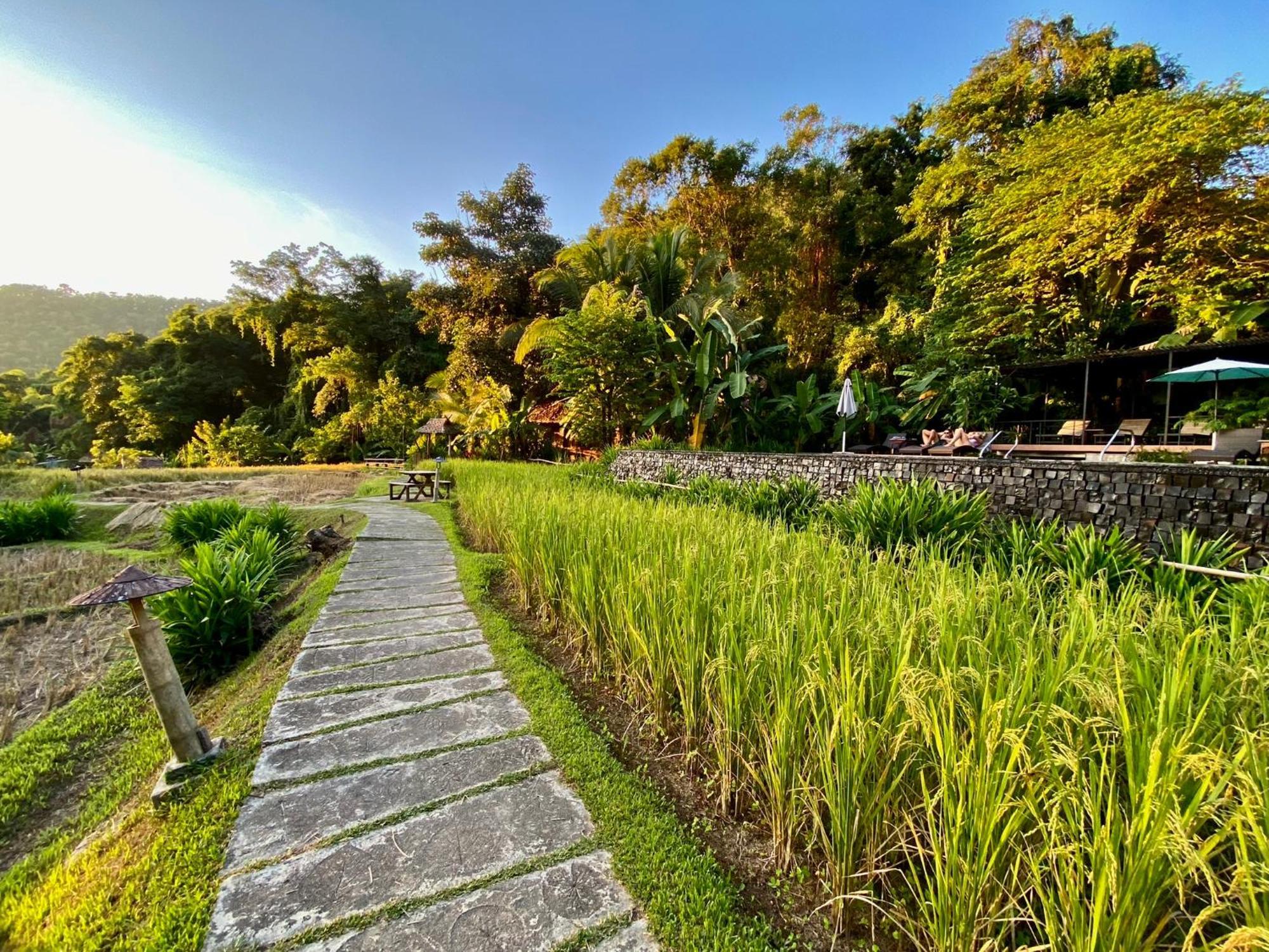 Fern Resort Mae Hong Son Extérieur photo