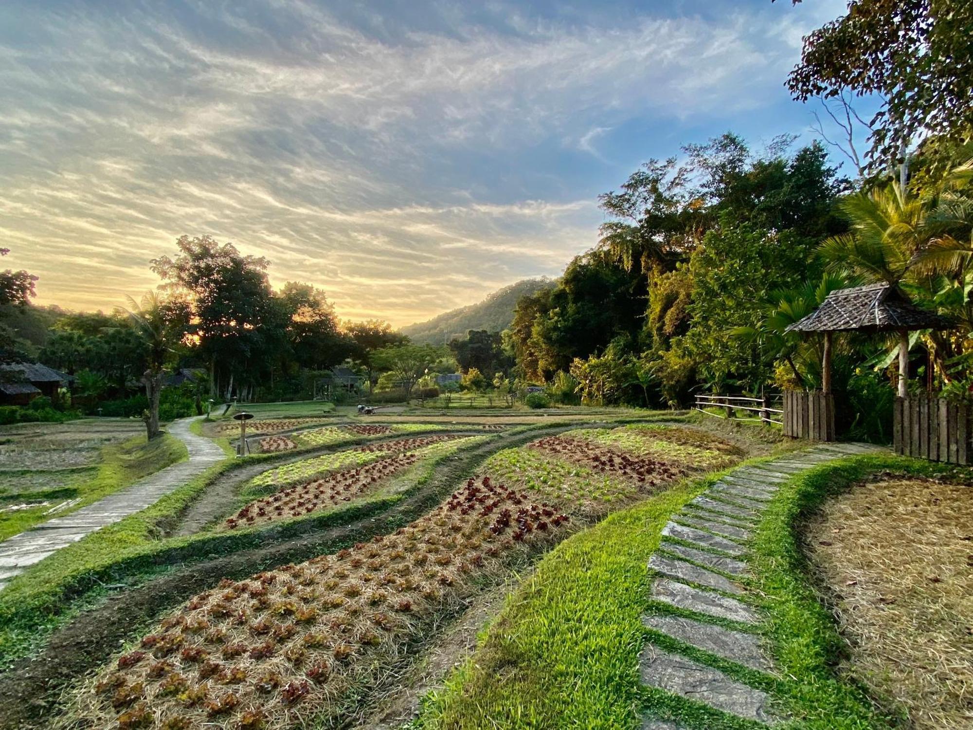 Fern Resort Mae Hong Son Extérieur photo