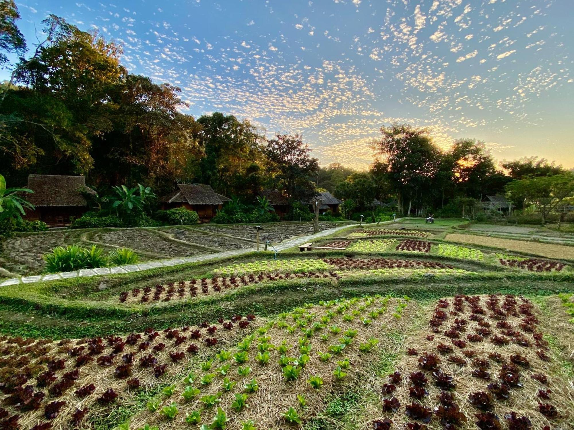 Fern Resort Mae Hong Son Extérieur photo