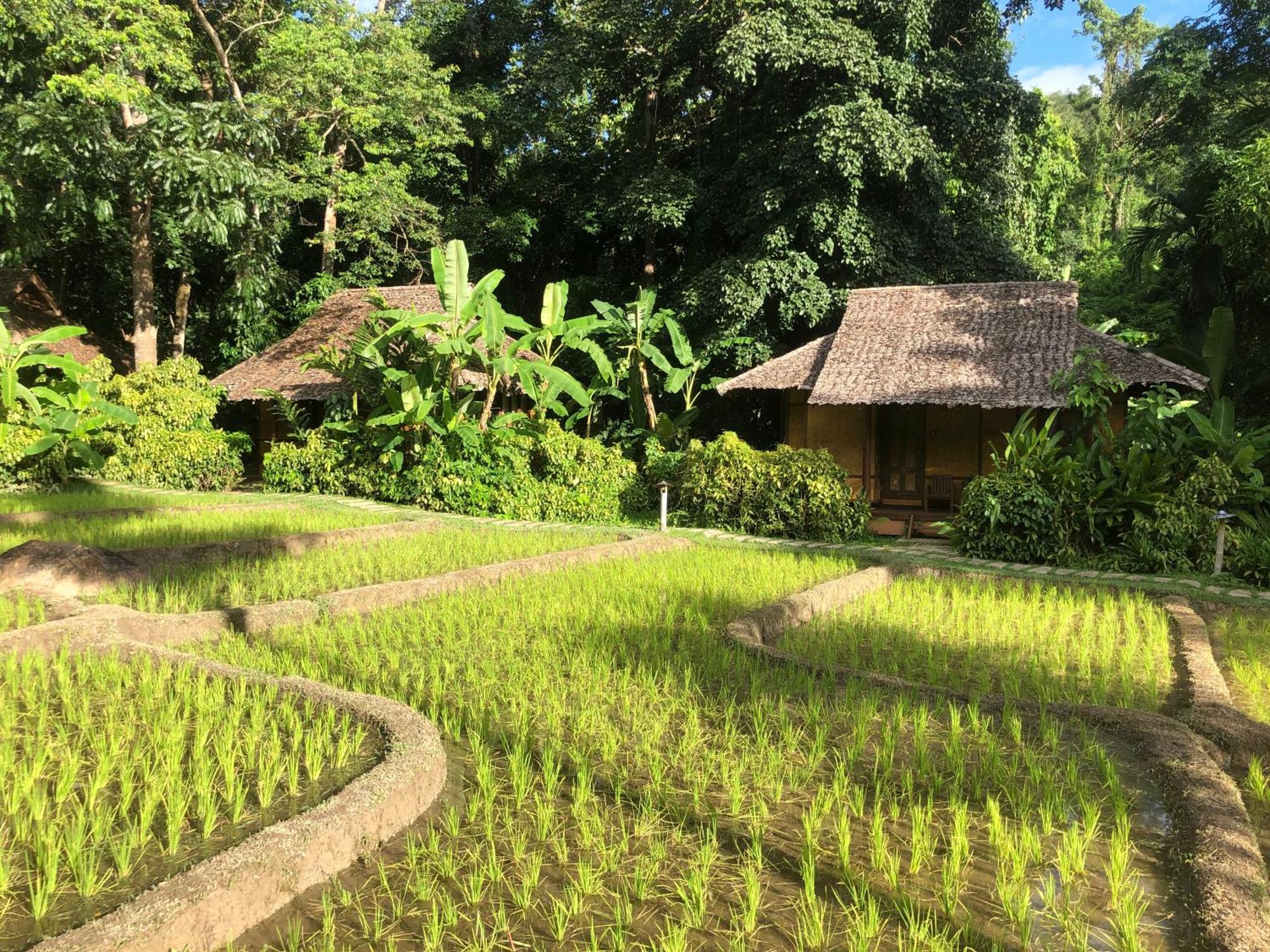 Fern Resort Mae Hong Son Extérieur photo